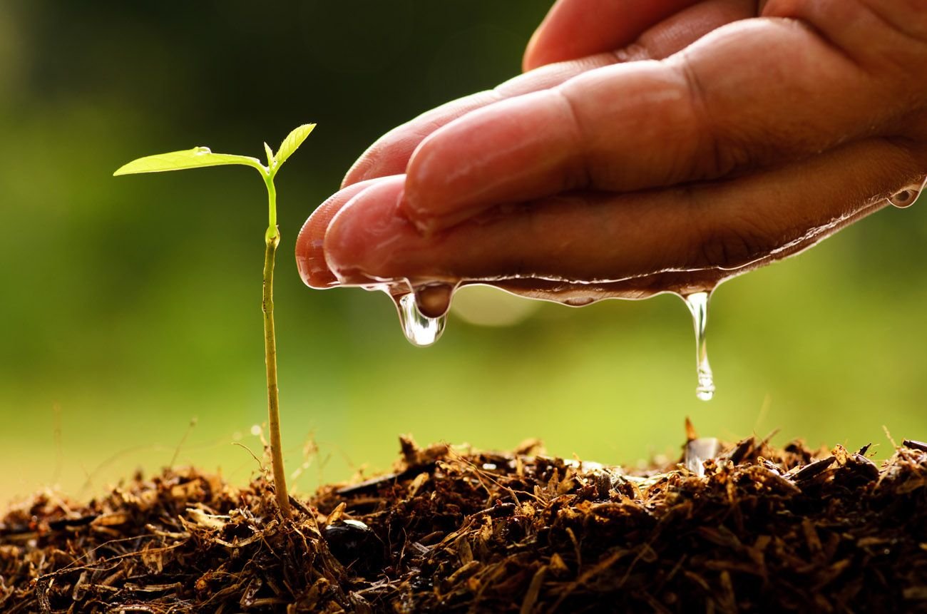 Seeds of Understanding Faith